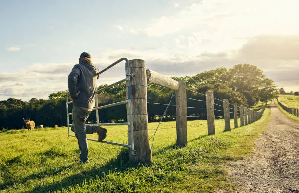 A farmer leaning against a metal gate on a sunny afternoon