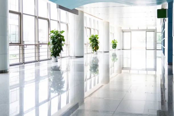 Bright modern corridor with large windows and potted plants