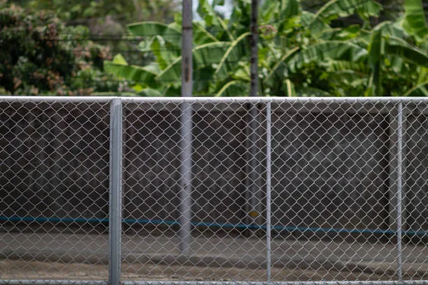 A silver chain-link fence with a metal top rail provides a secure perimeter for a property